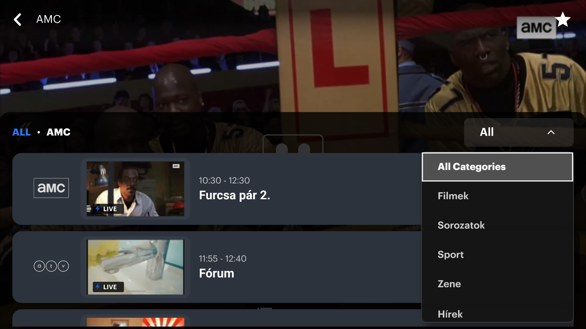 TV — channel list in player